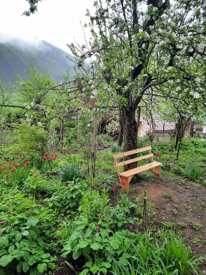 Guest House Bochora Borjomi Exterior photo