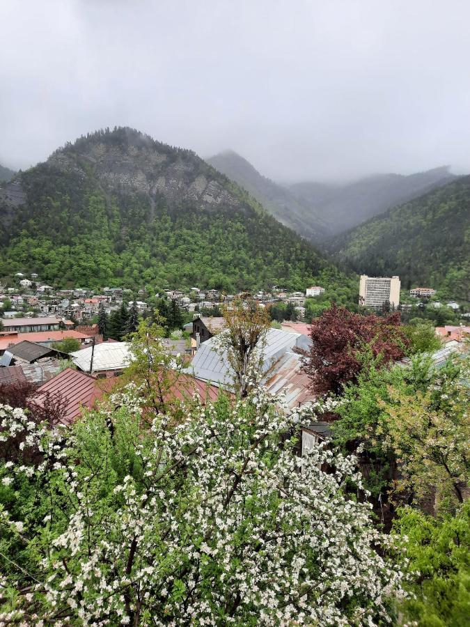 Guest House Bochora Borjomi Exterior photo