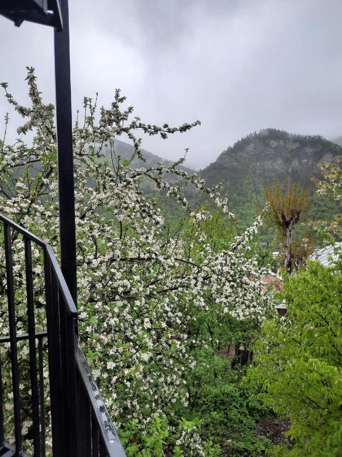 Guest House Bochora Borjomi Exterior photo